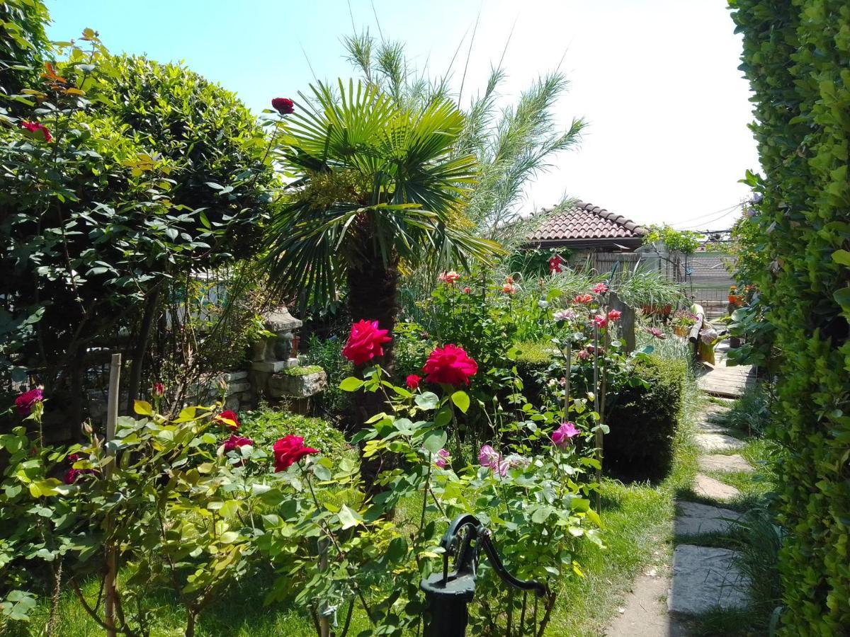 Guest House Amazonia Warna Zewnętrze zdjęcie
