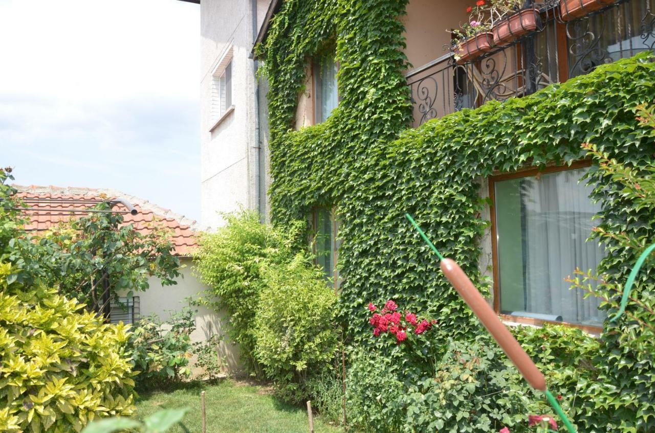 Guest House Amazonia Warna Zewnętrze zdjęcie